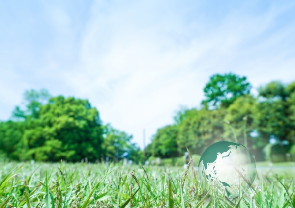 １番目の中央区の斎場サンプル